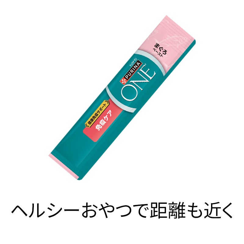おやつ] 毛玉ケア チキンペースト - ピュリナ ワン キャット
